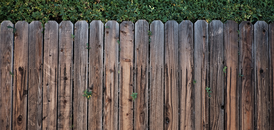holzzaun2